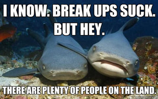 Compassionate Shark Friend
