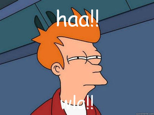 Futurama Fry