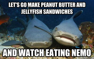 Compassionate Shark Friend