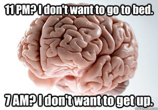 Scumbag Brain