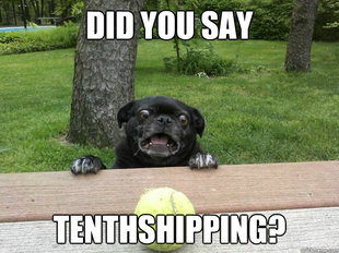 Berks Dog