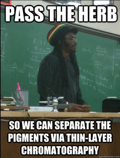 Rasta Science Teacher