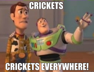buzz lightyear