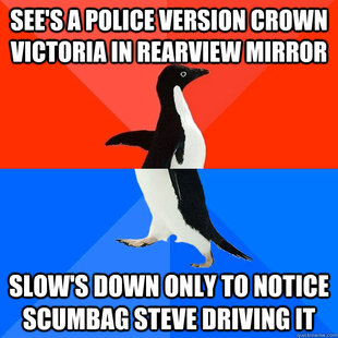 Socially Awesome Awkward Penguin