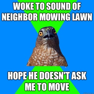 Hawkward