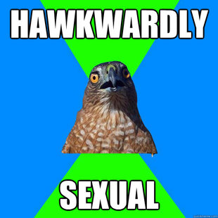 Hawkward