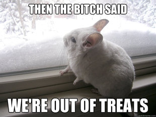 lonely chinchilla