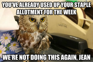 Omniscient Office Owl