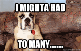 10 Dog