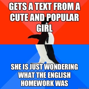 Socially Awesome Awkward Penguin