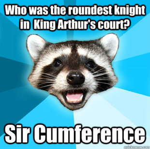 Lame Pun Coon