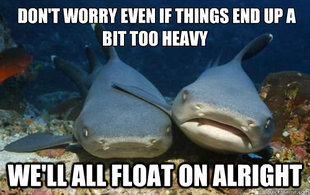 Compassionate Shark Friend