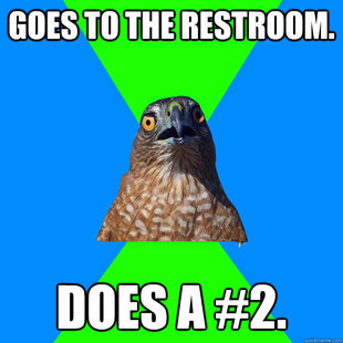 Hawkward