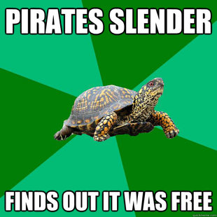Torrenting Turtle