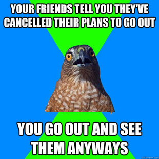 Hawkward