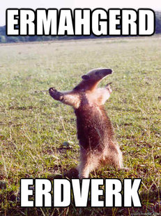erdverk