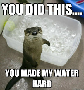 Gilt Inducing Otter