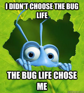 the bug life