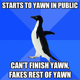 Socially Awkward Penguin