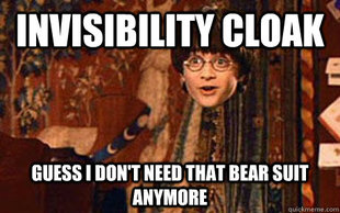 invisible harry