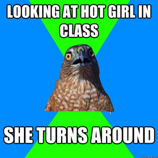 Hawkward