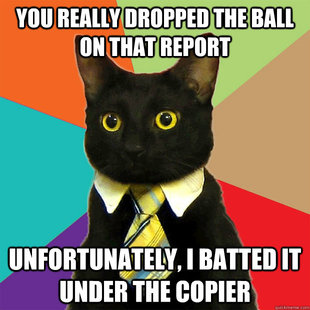 Business Cat