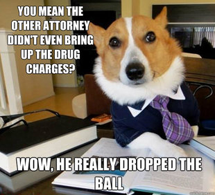Lawyer Dog