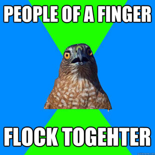 Hawkward