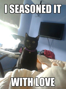 overly attached cat