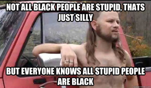 Almost Politically Correct Redneck