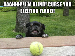 Berks Dog