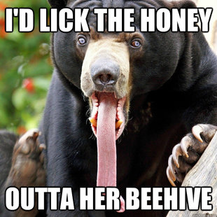 The One With The Black Bear With The Really Long Tongue