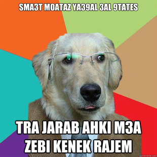 Business Dog
