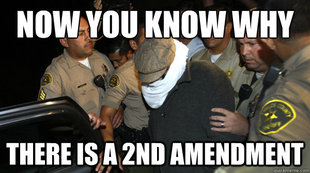 Defend the Constitution