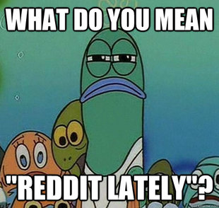 Serious fish SpongeBob