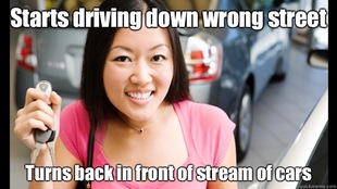 Female Asian Driver