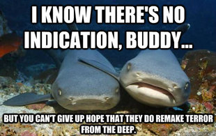 Compassionate Shark Friend