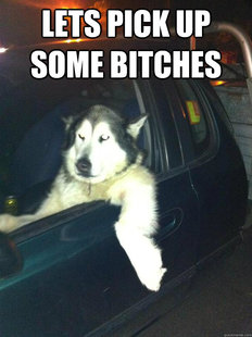 Mean Dog