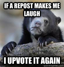 Confession bear