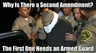 Defend the Constitution