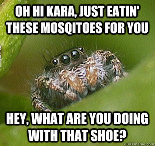 Misunderstood Spider