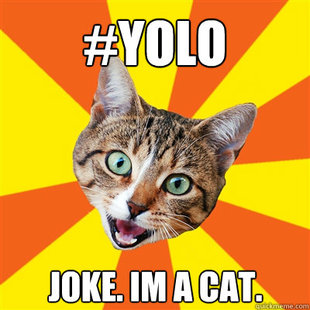 Bad Advice Cat