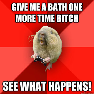 Gaming Gopher