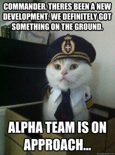 Captain kitteh