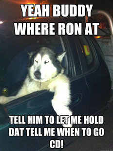 Mean Dog
