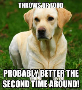 Dog Logic