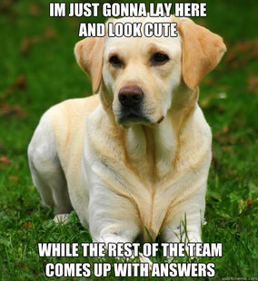Dog Logic