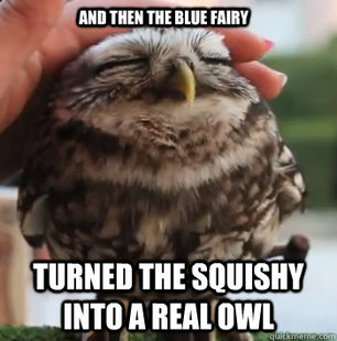 cute owl