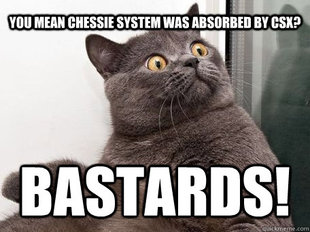 conspiracy cat