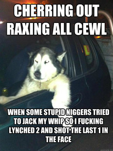 Mean Dog